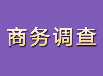 永和商务调查